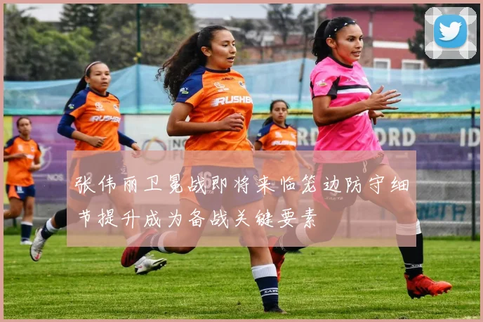 张伟丽卫冕战即将来临笼边防守细节提升成为备战关键要素