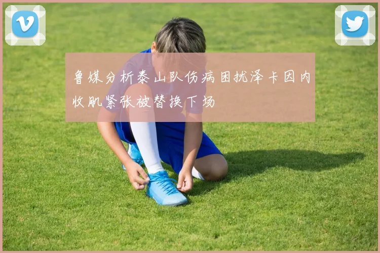 鲁媒分析泰山队伤病困扰泽卡因内收肌紧张被替换下场